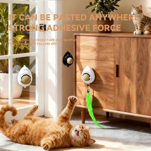 Emballage avec Logo Personnalisé Jouets Mignons pour Chat Produit pour Animaux à Mâcher Lécher et Relaxer Balle Murale à l'Herbe à Chat pour Chaton Souris - Product Image 4