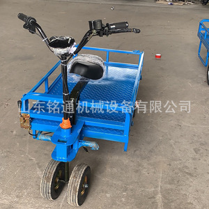 Triciclo Eléctrico de Plataforma Plana con Capacidad de Carga de 200-300 kg para Transporte Doméstico - Product Image 3