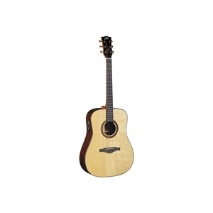 Guitares acoustiques EKO GUITARS - WOW D800E (Épicéa/Palissandre) Dos et flancs en acajou, manche et touche en palissandre - Product Image 1