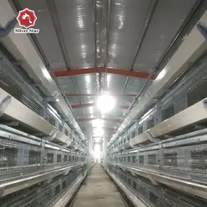 Équipement en acier de cage de poulet de ferme avicole en métal utilisé pour la moitié/pleine ligne fermée de poulet de race