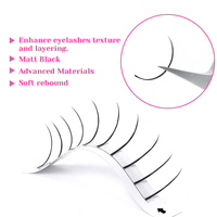 Extensions de cils en gros 0.07 C D Curl Spike Fairy, cils 3D en forme de A/M, faux cils naturels à auto-greffage