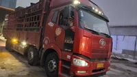 Petit camion à ordures compacté à moteur diesel 4x2 à transmission automatique pour la collecte et le transport des déchets domestiques