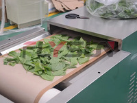 Secadora de Túnel por Microondas para Procesamiento de Alimentos con Control PLC Automático Flysun, Máquina de Esterilización y Secado con Cinta Transportadora para Frutos Secos 304