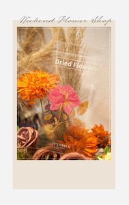 Autocollants transparents de grande taille pour animaux de compagnie, étiquette de <span class=keywords><strong>scrapbooking</strong></span> Vintage à fleurs sèches pour enfants, 6 pièces - Product Image 2