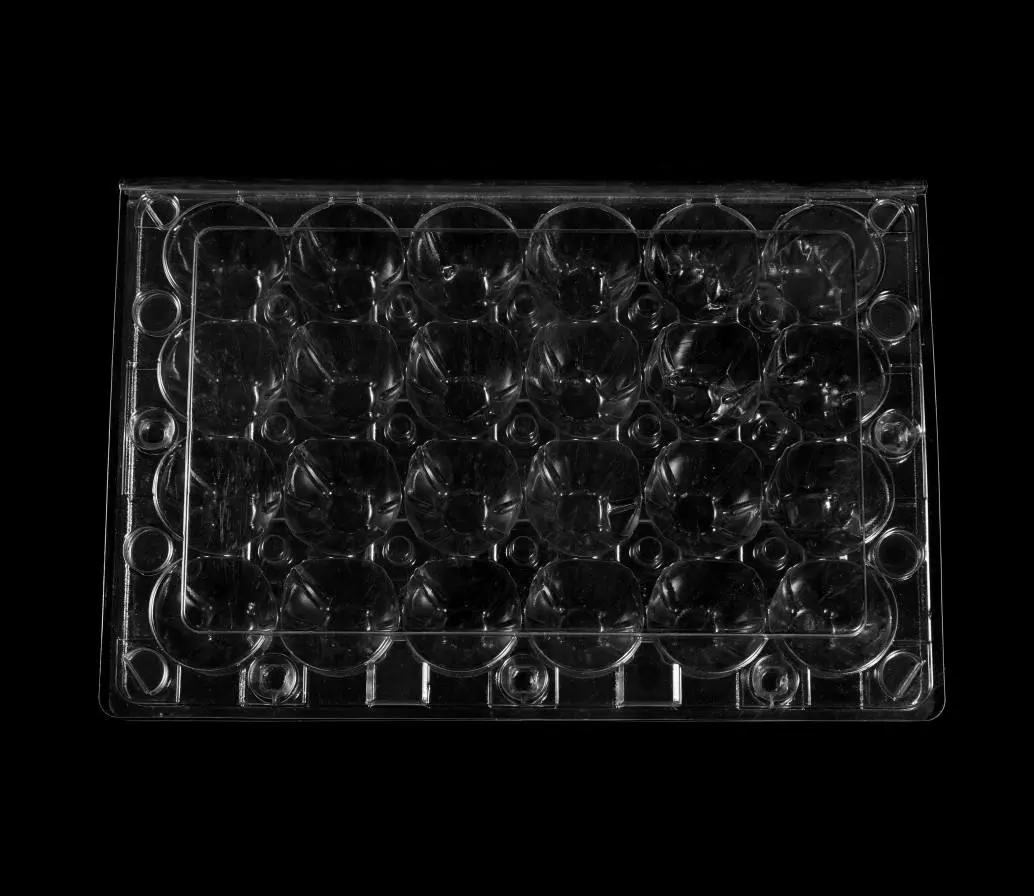 סיטונאי מותאם אישית 24 תאים PET שקוף פלסטיק שלפוחית שליו מגש ביצי מיכל אריזה עם מכסה