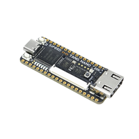RISCV Linux Retro Game Player Sipeed Tang Nano 20K Carte de développement FPGA
