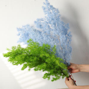 Fleur naturelle séchée et préservée Asparangus, Fleur <span class=keywords><strong>de</strong></span> Pougéa <span class=keywords><strong>de</strong></span> Penglai, Fleur <span class=keywords><strong>de</strong></span> <span class=keywords><strong>Fougère</strong></span> Ming, Effet naturel, Cadeau Saint-Valentin, Noël, Décoration d'intérieur - Product Image 4