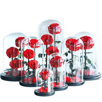 Vente en gros d'usine, Saint-Valentin, Noël, Nouvel An, dôme en verre, roses éternelles, boîte cadeau enchantée Belle