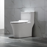 Ensemble WC monobloc en céramique à siphon à jet, économie d'eau et anti-odeur, pour hôtels et maisons d'hôtes
