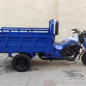 Nouveau style de tricycle 200cc pour passagers et marchandises, moto à trois roues à essence - Product Image 5