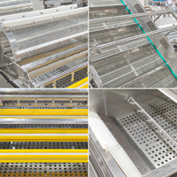 LWT Bubbelwasmachine voor het reinigen van groenten en fruit, SS304 roestvrij staal, industriële voedselverwerkingsapparatuur