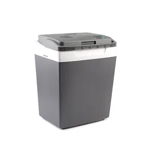 2024 New Product 29 Liter AC/DC thermoelectric cooler and warmer box for daily usage and outinfg