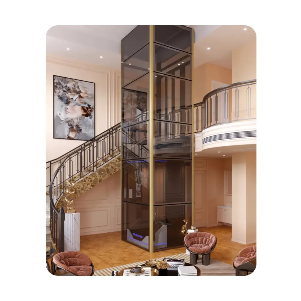 사용자 정의 중국 공장 핫 세일 하우스 홀드 리프트 400kg 승객 리프트 가격 가정용 소형 빌라 엘리베이터