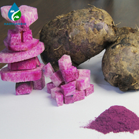 OEM ODM Marque Privée Sachets de Boisson Instantanée au Yam Violet (Ube) en Poudre Superalimentaire