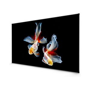 Nuevo marco fijo de 120 ", pantalla UST CLR de tiro ultracorto, PET Crystal CBSP 4K, pantalla de proyector que rechaza la luz ambiental - Product Image 1