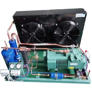 CSCPOWER tipo aperto cella frigorifera unità di refrigerazione piccolo compressore