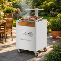 Barbecue argentin en acier inoxydable, grill au charbon de bois intégré, style Santa Maria