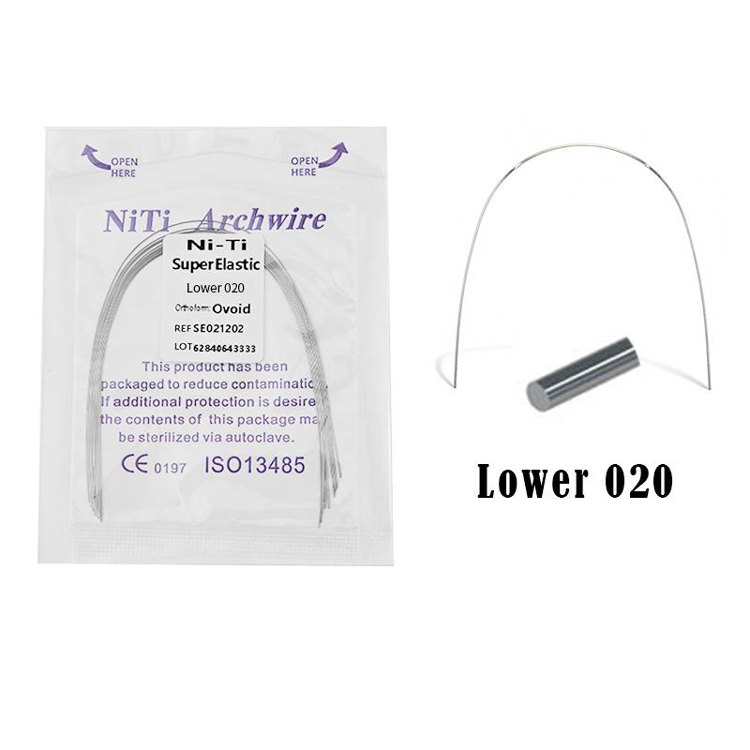Lower020