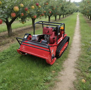 เครื่องตัดหญ้าแบบรถถังสำหรับทุกสภาพพื้นผิว ควบคุมระยะไกล อัตโนมัติ สำหรับงานอุตสาหกรรม ความกว้างการตัด 800 มม. พร้อมสายพานตีนตะขาบ - Product Image 2