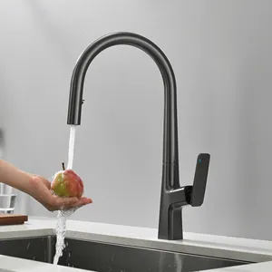 Commercial Kitchen Faucets Gun Pull Out Kitchen Sink Faucets With Pull Down Sprayer Grey Modern Contemporary Ceramic Polished
