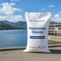 Chlorure de polyaluminium de haute pureté, poudre blanche PAC 30% pour les stations de traitement des eaux