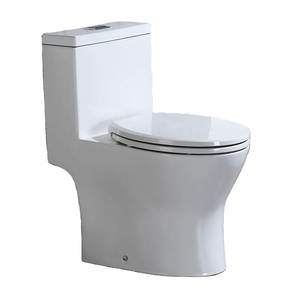 Vente en gros de cuvette de toilette blanche de haute qualité à compostage à sec d'une seule pièce - Product Image 5