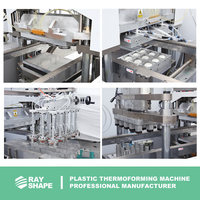 Machine de formage plastique de précision pour l'emballage électronique et équipement de thermoformage plastique haute vitesse pour barquettes alimentaires