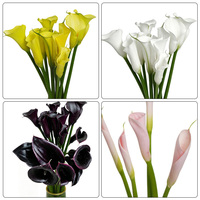 Fleurs de lys Calla coupées sur mesure, fraîches du Yunnan, couleurs mélangées en vrac pour bouquets de mariage et arrangements floraux