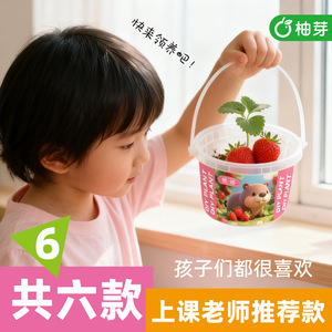Kit de culture de tomates Kapibala en pot, germination en 7 à 10 jours, pour enfants et étudiants - Product Image 5