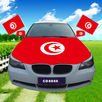 Expédition rapide 48 heures sur les produits ponctuels bannière de drapeau bon marché extérieur personnalisé 3x5ft polyester spot drapeau tunisien de la Tunisie