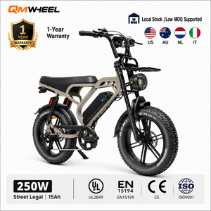 Bicicleta Eléctrica QMHEEL V20 Limited 48V, Bicicleta Urbana Eléctrica con Batería de Litio, OEM ODM, Lista para Vendedores Transfronterizos, Cumple con las Normas de la UE - Product Image 1