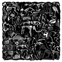 50pcs usine en gros dessin animé décoration autocollant vinyle amovible ordinateur portable étanche Animal squelette autocollant
