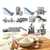 Ligne de production professionnelle d'ail en poudre à prix de gros, ligne de production d'ail automatique avec sécheur, ligne de production de poudre d'oignon