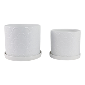 Vasi decorativi con design a conchiglia e sottovasi per piante da interno ed esterno, succulente ed erbe aromatiche, eleganti - Product Image 3