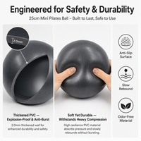 Ballon de yoga mini en PVC épaissi anti-éclatement 25 cm, ballon d'équilibre Pilates, entraîneur de fitness anti-explosion avec pompe, logo personnalisé