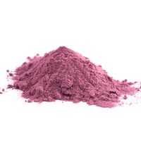 100% poudre d'acai naturelle pure extrait de plante biologique Soluble dans l'eau poudre lyophilisée poudre de fruits de baies d'açai