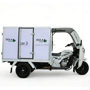 Motocicleta de Tres Ruedas de 200cc, Triciclo de Carga con Cabina Semicerrada, <span class=keywords><strong>Tribike</strong></span> con Caja Cerrada, Triciclo Motorizado de Carga - Product Image 4