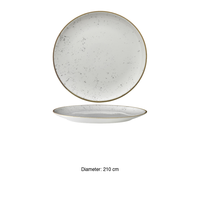 Assiette à dessert Siviglia Stains Ø 21 cm Saturnia