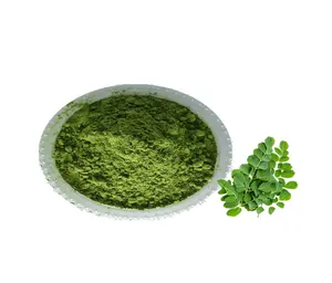 Moringa Oleifera extract Powder Bulk Moringa Leaf Powder