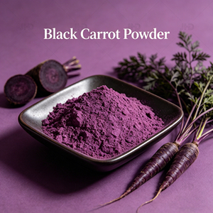 Poudre concentrée de <span class=keywords><strong>carotte</strong></span> <span class=keywords><strong>noire</strong></span> de qualité alimentaire en vrac, colorant naturel anthocyanine, teinte rouge-violette pour boissons et jus de fruits - Product Image 1