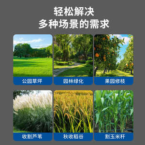 Lame de scie en alliage Fangdawang 250 mm 40 dents, coupe précise pour débroussailleuse, herbe, bois, bambou - Product Image 5