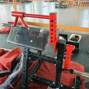 Bán buôn tùy chỉnh màu sắc bắp tay TRICEPS máy mở rộng tùy chỉnh thiết bị tập thể dục nhà sản xuất làm thép an toàn bao gồm - Product Image 2