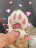 Baume pour pattes vegan personnalisé avec logo simple pour chiens et chats, hydrate, protège la peau endommagée, crème réparatrice, pommade
