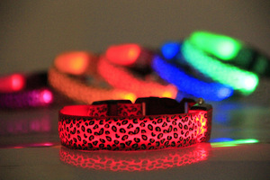 Collare per Cani LED Intelligente Personalizzabile, Ricaricabile USB, con Nastro Luminoso, Regolabile per Razze Medie e Grandi - Product Image 5
