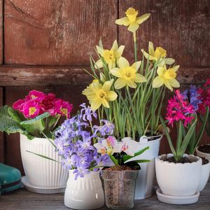 Giardino balcone in plastica trasparente vasi per vivaio <span class=keywords><strong>fioriera</strong></span> orchidea piantare vasi con fori - Product Image 6