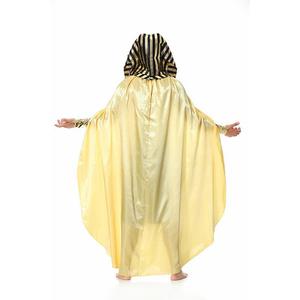 Costume de pharaon égyptien pour hommes adultes, sans manches, en polyester, pour spectacle de scène d'Halloween - Product Image 3