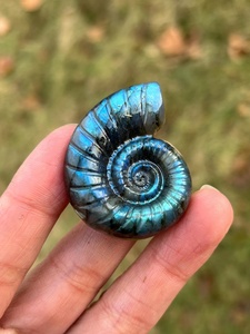 Figura de Concha de Caracol Pulida al por Mayor, Totem Anka, Cruz Ansata, Arte Folclórico, Feng Shui, Decoración del Hogar, Cristal de Sanación Reiki - Product Image 4
