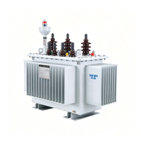 Transformador de Distribución Sumergido en Aceite, Clase F, Aislamiento S13-M (F), Alta Sobrecarga, Totalmente Sellado, 100kVA 10kV
