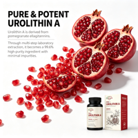 Prix d'usine en Chine, formule personnalisée, soins de la peau anti-âge, compléments alimentaires pour la santé, 1000 mg de capsules d'Urolithin A végétaliennes