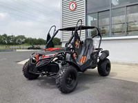 Go Kart Todoterreno 2026 Easy-go, Nuevo, de Alta Velocidad, 200cc/300cc, Precio Económico, 2 Plazas, a Gasolina, Buggy para Adultos
